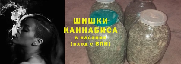 ГАЛЛЮЦИНОГЕННЫЕ ГРИБЫ Вяземский