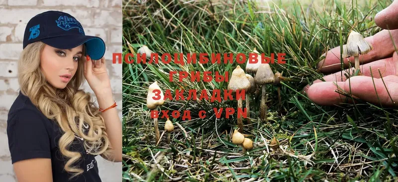 blacksprut ссылка  купить наркоту  Мыски  Псилоцибиновые грибы Psilocybe 